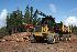 Forwarder 584 hd